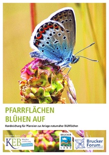 Brucker Forum Brucker Land blueht auf Broschuere WEB.pdf